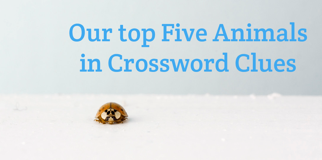 The Top Five Searched Animal Crossword Clue  - make words  from letters