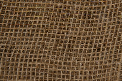 Jute is possible in Words with Friends