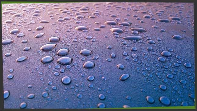 ooze fluid