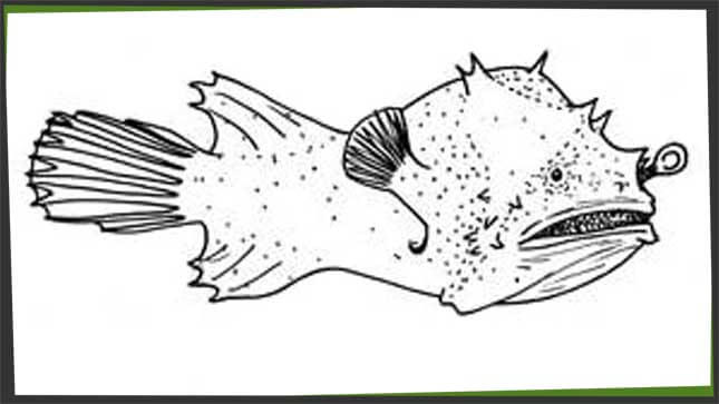smalles fish crossword puzzle answer